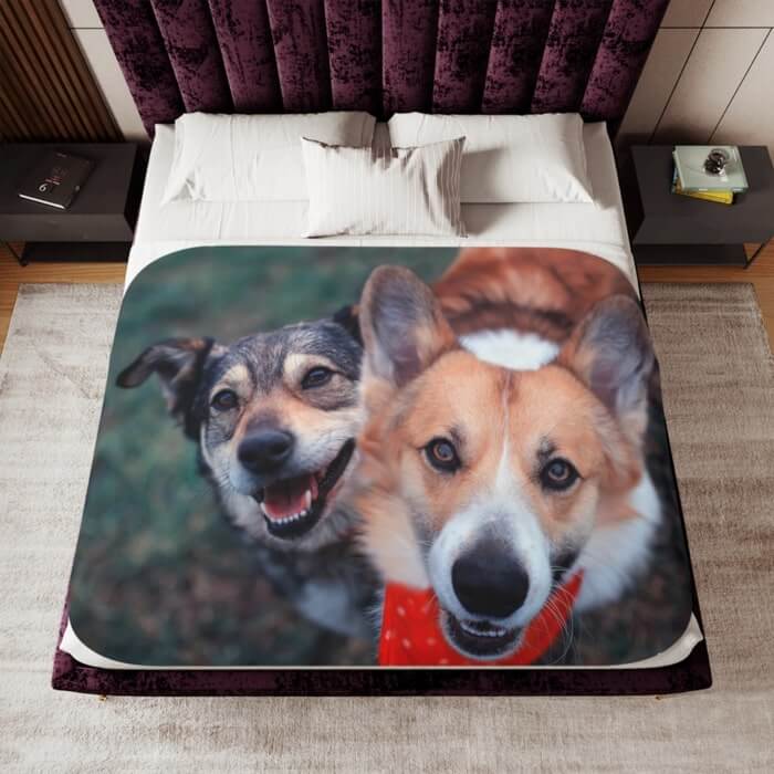 Pet Gift Ideas Pictures of Your Pet Custom Pet Gifts 25